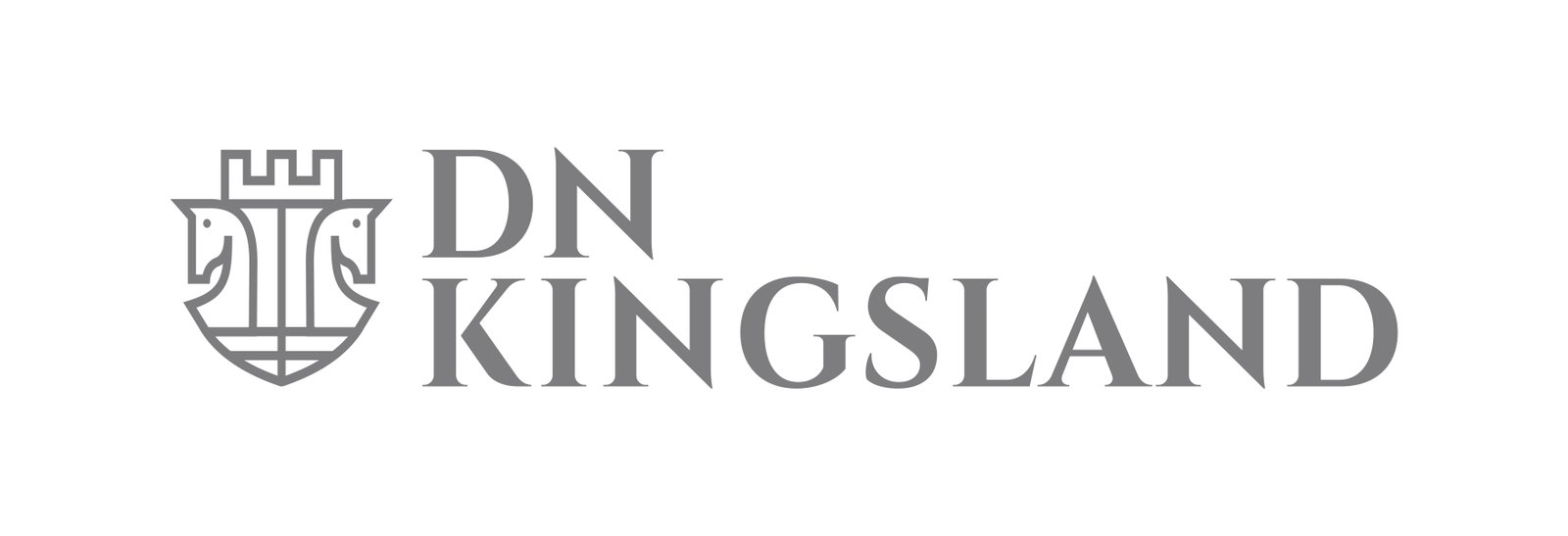 DN Kingland Proejct logo Icon