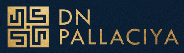 DN Pallaciya proejct logo icon